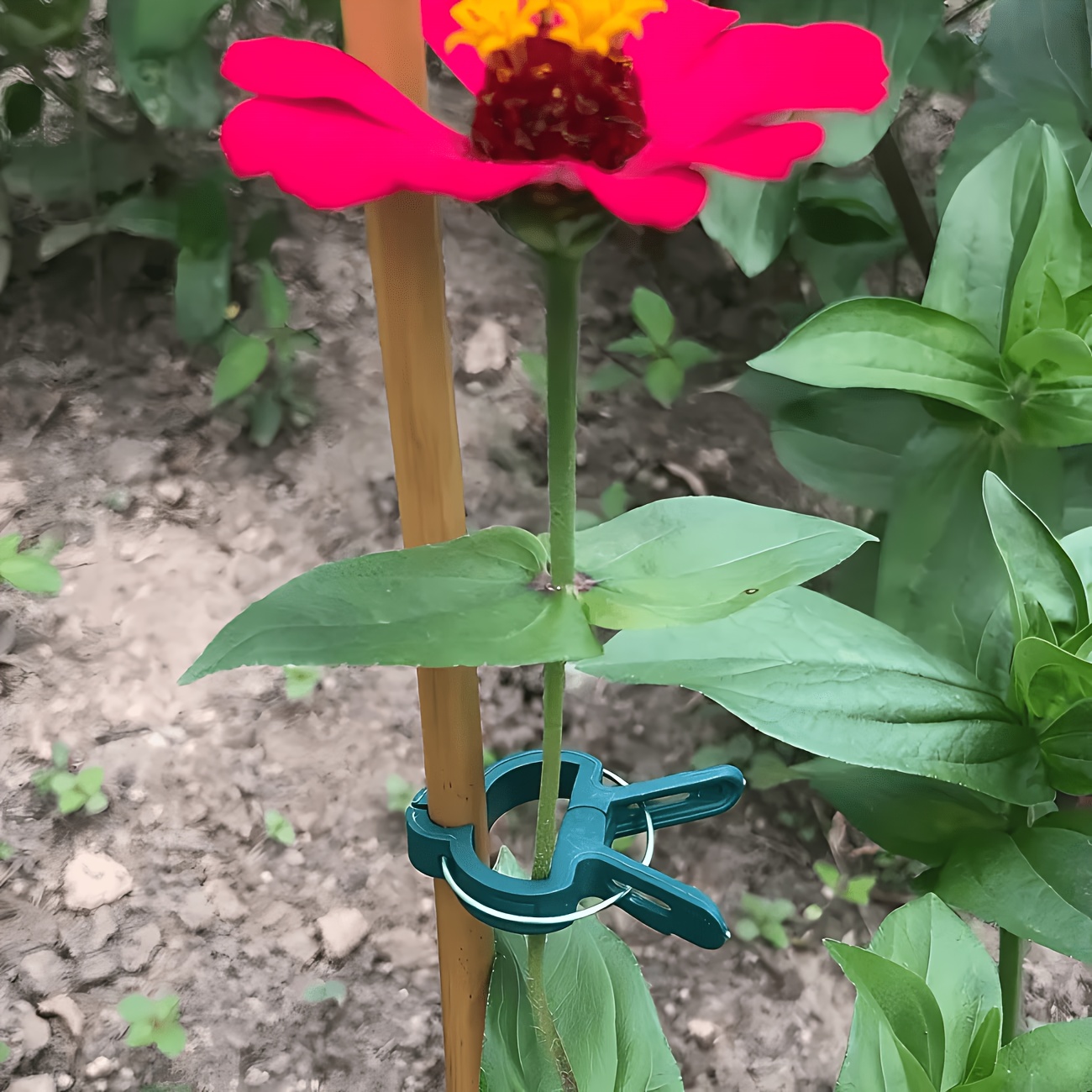 Gardening Tools Essential - 5개 조절 가능한 식물 클립, 크고