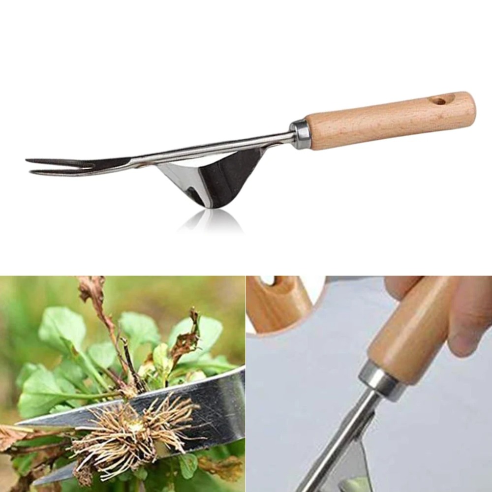 Gardening Tools To Remove Weeds - 목재 손잡이 스테인레스 스틸 정원 잡초