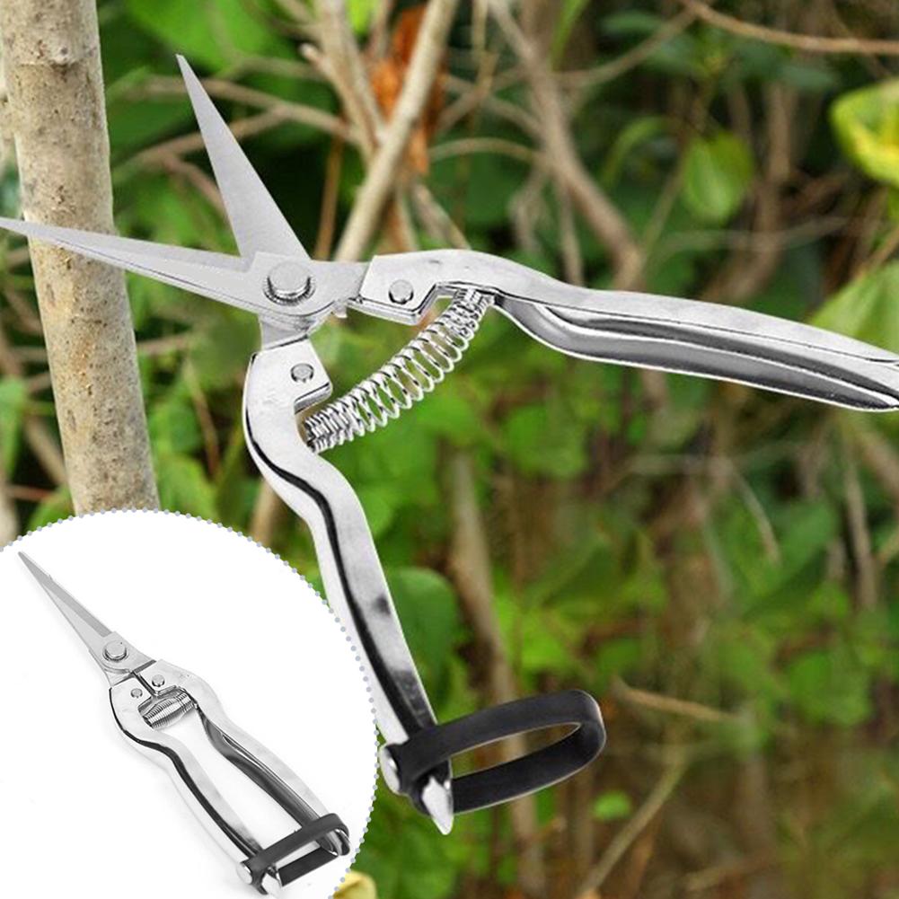 Gardening Hand Tools Yard - 가위형 전정기, 장미 정원 가꾸기, 식물