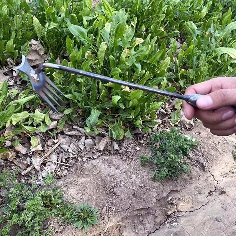 정원 제초기, 망간강 정원 제초기, 뿌리 빼기 및 흙  - Gardening Tools To Remove Weeds 리뷰 및 가격