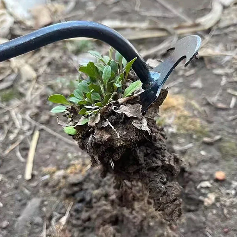 정원 제초기, 망간강 정원 제초기, 뿌리 빼기 및 흙  - Gardening Tools To Remove Weeds 리뷰 및 가격