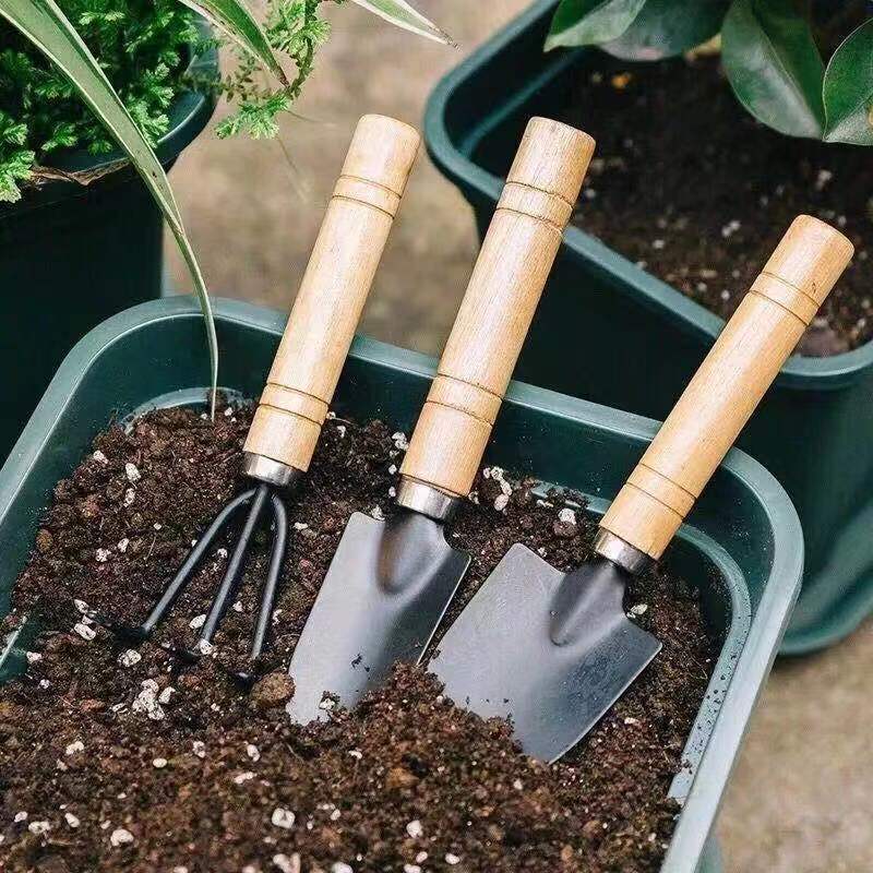 3PC/1세트 미니 원예 도구 세트 휴대용 소형 원예  - Gardening Tools Spade 리뷰 및 가격