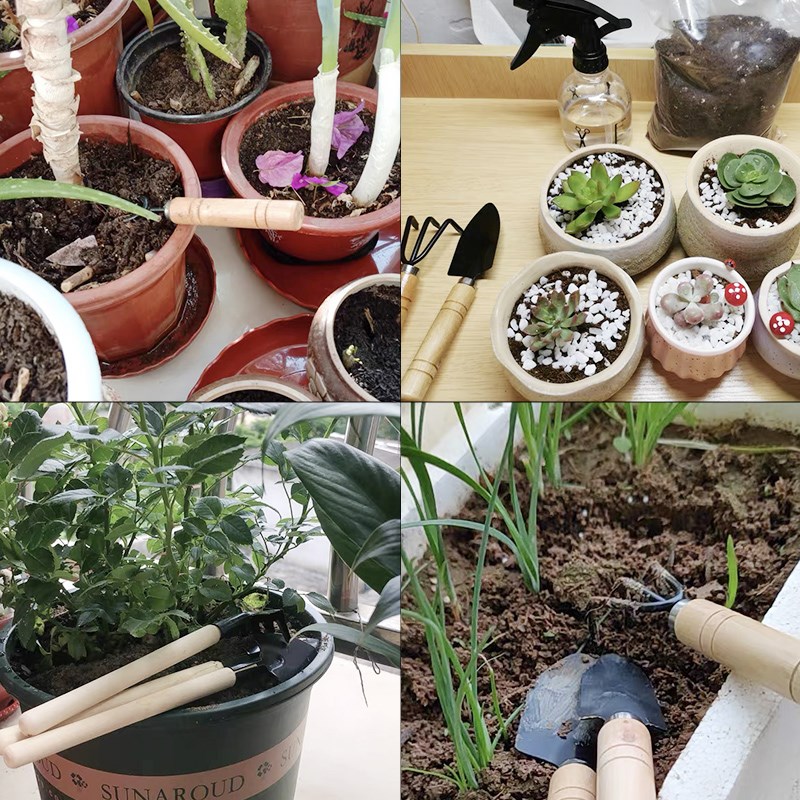 3PC/1세트 미니 원예 도구 세트 휴대용 소형 원예  - Gardening Tools Spade 리뷰 및 가격