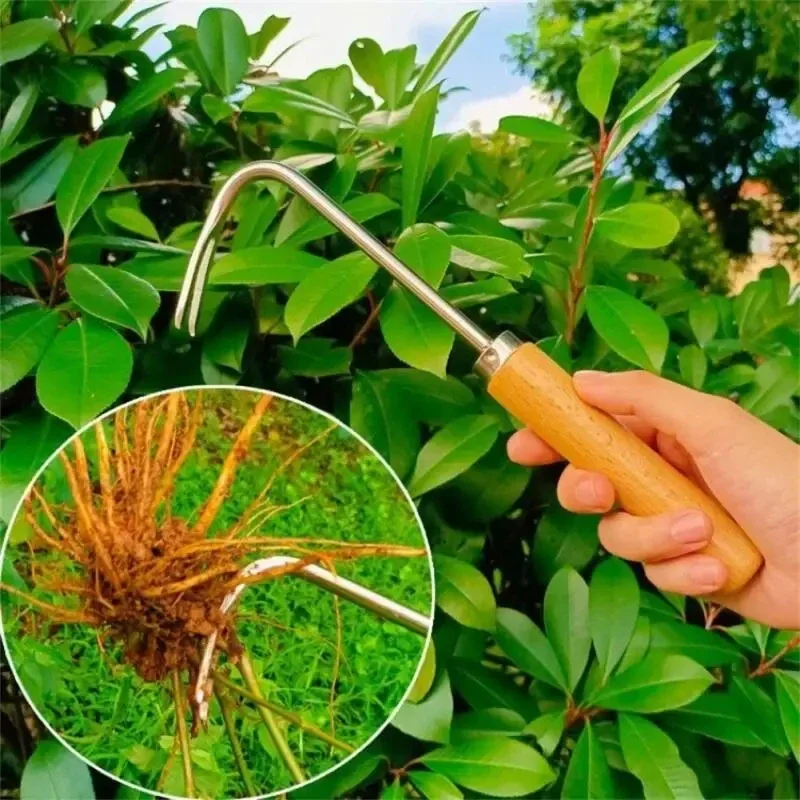 스테인레스 스틸 원예 잡초 수동 제거 휴대용 도구, 가 - Gardening Tools To Remove Weeds 리뷰 및 가격