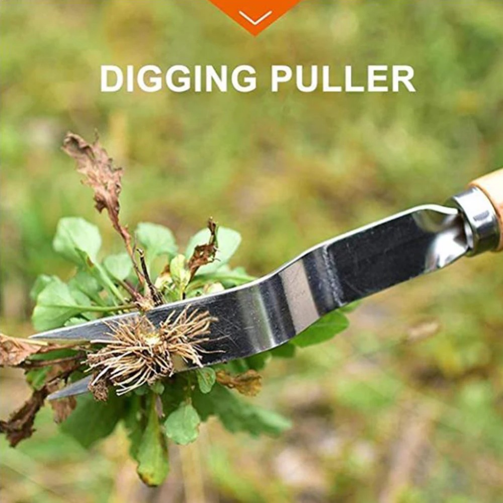 목재 손잡이 스테인레스 스틸 정원 잡초 제거 커터 풀러 - Gardening Tools To Remove Weeds 리뷰 및 가격