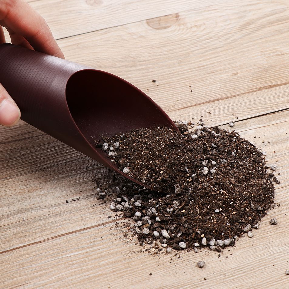정원용 플라스틱 토양 삽 컵, 토양 스페이드 재배 양동 - Gardening Tools Spade 리뷰 및 가격